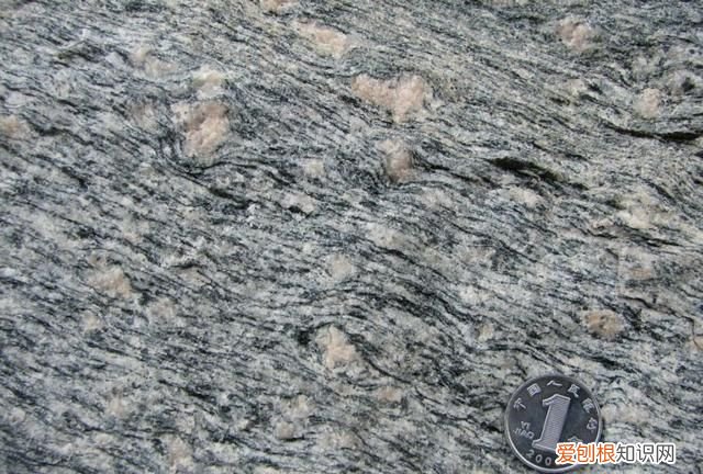 石头家族的龙族 石头大家族