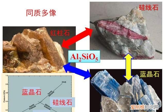石头家族的龙族 石头大家族