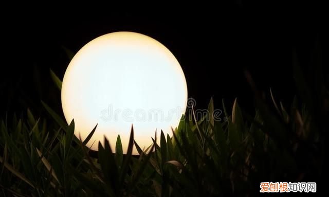 中国钨矿出口量,国际钨矿价格