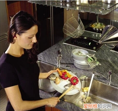 家庭四害消杀方案 家庭健康防四害图片