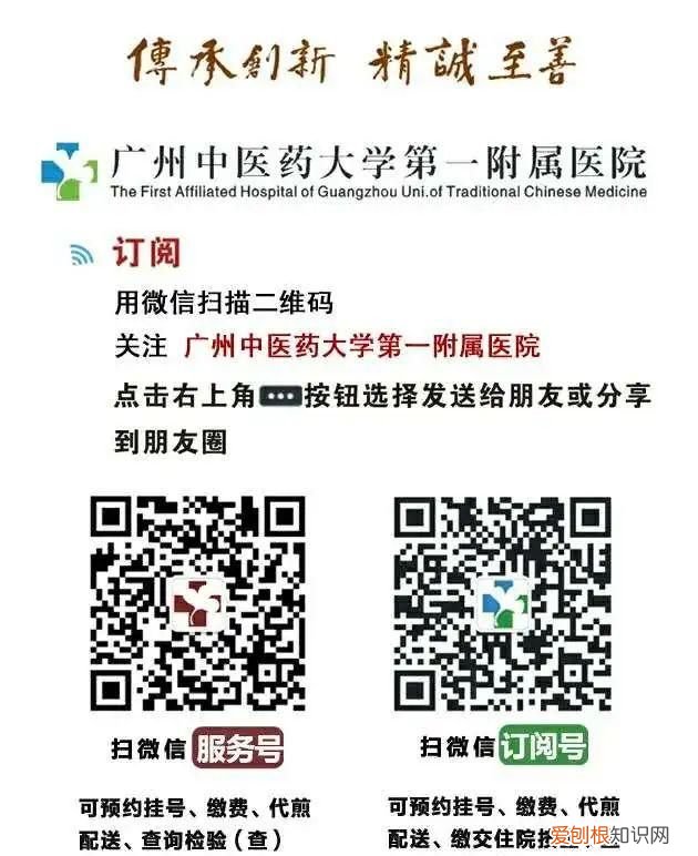 马齿苋瘦肉汤怎么做,孕妇能喝马齿苋瘦肉汤吗