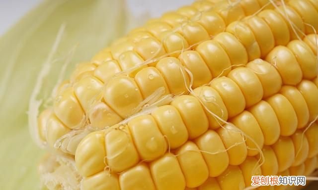 保存玉米水煮还是放冰箱,玉米中的黄曲霉素用水煮能消除吗