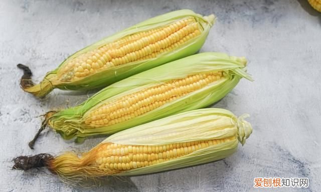 保存玉米水煮还是放冰箱,玉米中的黄曲霉素用水煮能消除吗