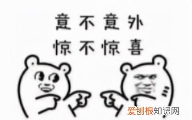 用excel做拼音表格怎么做