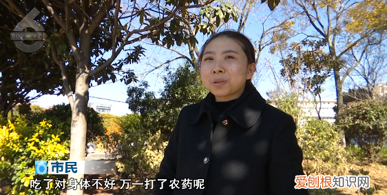 没有给你摘秃就已经很克制了!行道枇杷树遭棍打 骑身上摘果实!但是这真不能吃呀