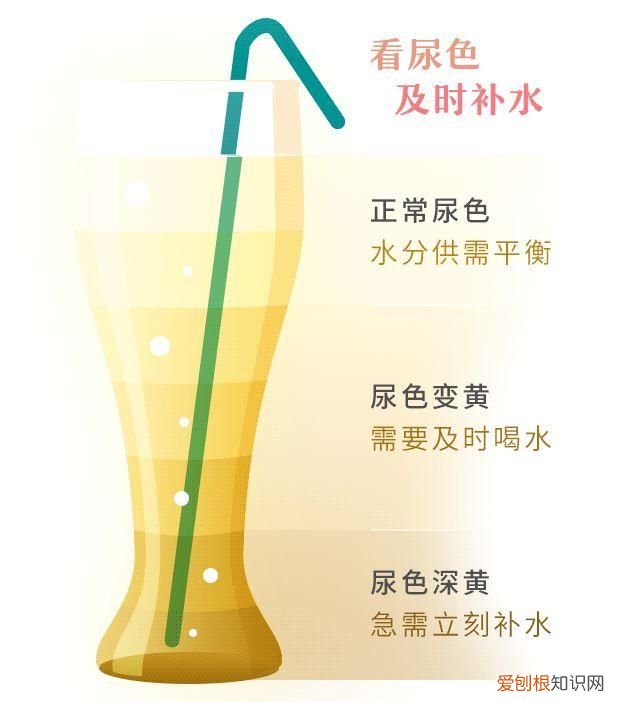 红枣红糖不补血真正的补血食物,红小豆红枣红糖熬粥补血益气吗