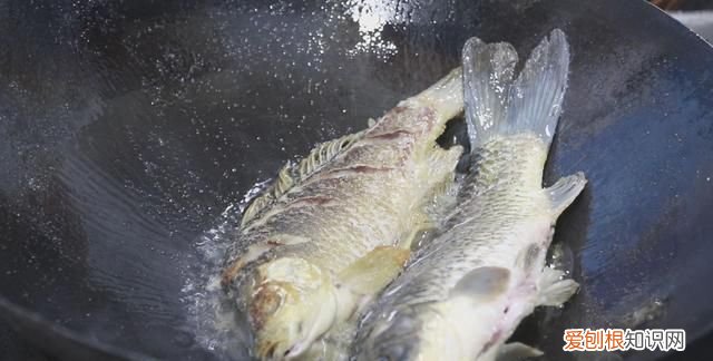 鲫鱼怎么做好吃又简单还没腥味 鲫鱼怎么做好吃又简单家常的
