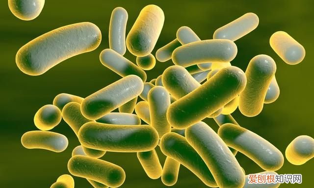 蹲马桶怎么防止水溅到屁股,怎样防止蹲马桶溅一屁股水