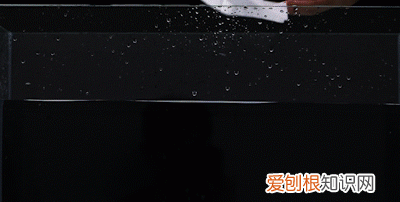 蹲马桶怎么防止水溅到屁股,怎样防止蹲马桶溅一屁股水