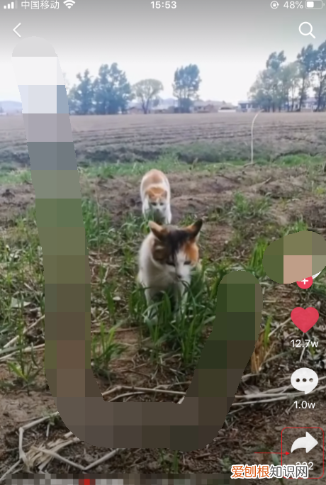 抖音怎么发链接给朋友,抖音如何复制链接到微信里面