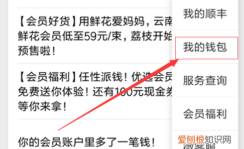 顺丰怎么开发票,顺丰APP如何开电子发票