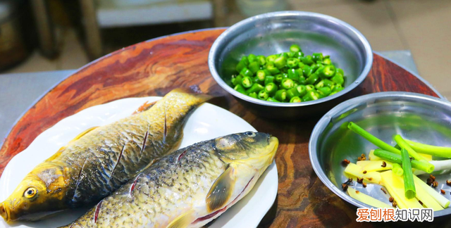适合冬天吃的菜谱大全下饭