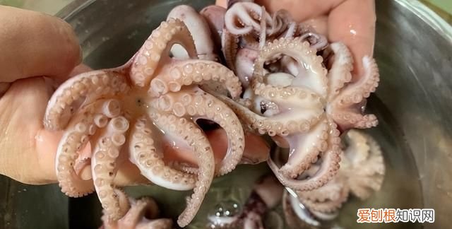 初夏必吃它解馋又抗饿酥香到犯规