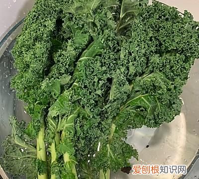 羽衣甘蓝的做法大全图解,kale powder羽衣甘蓝