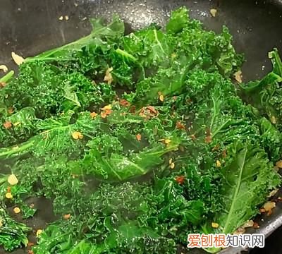 羽衣甘蓝的做法大全图解,kale powder羽衣甘蓝