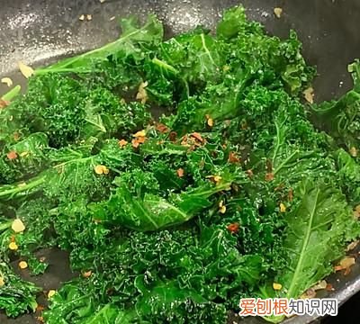 羽衣甘蓝的做法大全图解,kale powder羽衣甘蓝