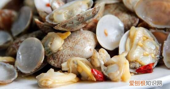 生蚝花蛤能冷冻保存吗 花蛤可以放冰箱冷冻保存吗