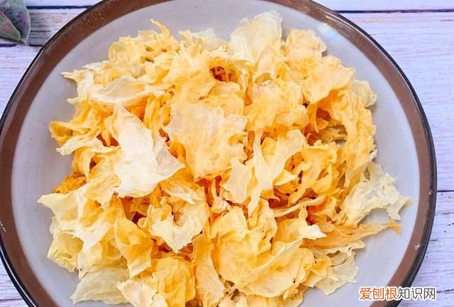 银耳要泡多久才能煮出胶 银耳要泡多久才可以煮出胶