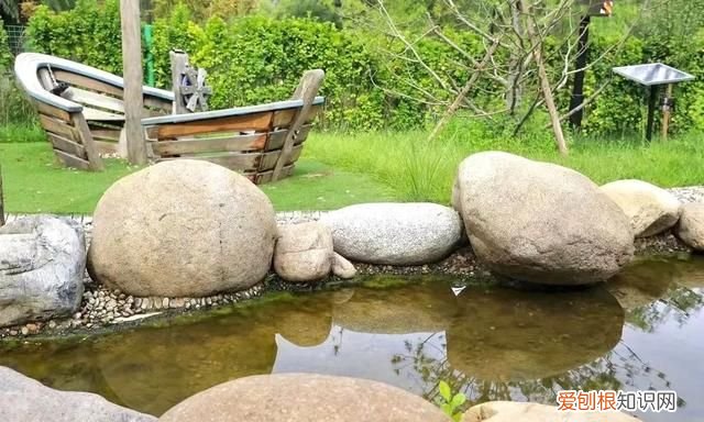 北京德闳学校幼儿园,德闳学校北京幼儿园