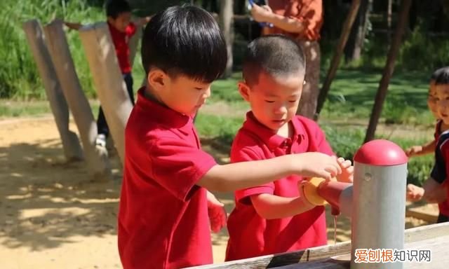 北京德闳学校幼儿园,德闳学校北京幼儿园