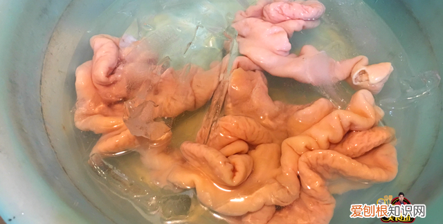 猪大肠怎么炒出来才脆 猪大肠怎么炒又脆又好活