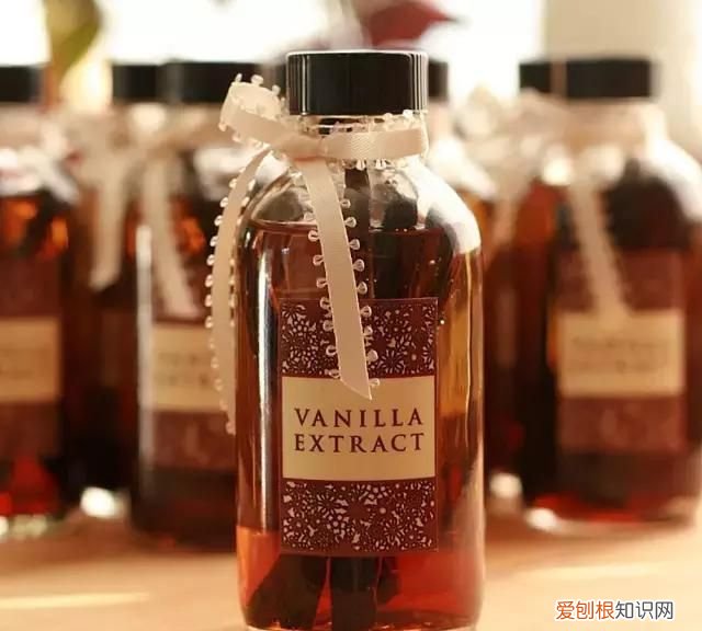 关于咖啡伴侣的一些搭配建议有哪些