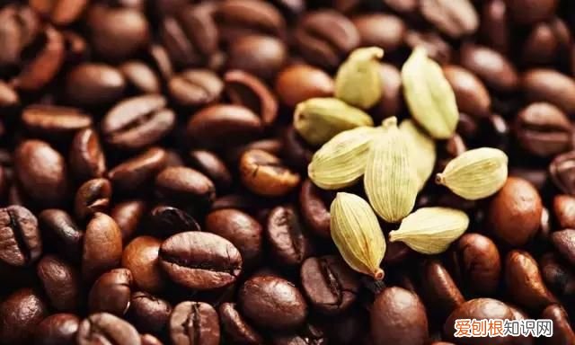 关于咖啡伴侣的一些搭配建议有哪些