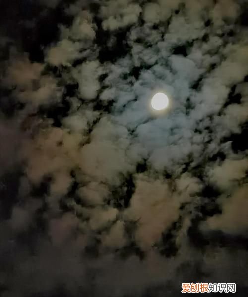 流云和月都曾爱过你什么意思,我的世界下了雨歌词什么意思