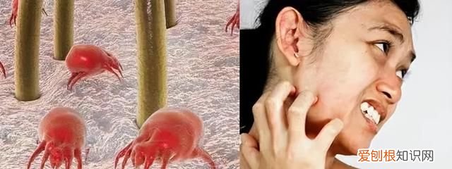 睡了这么多年才知道凉席要这样洗