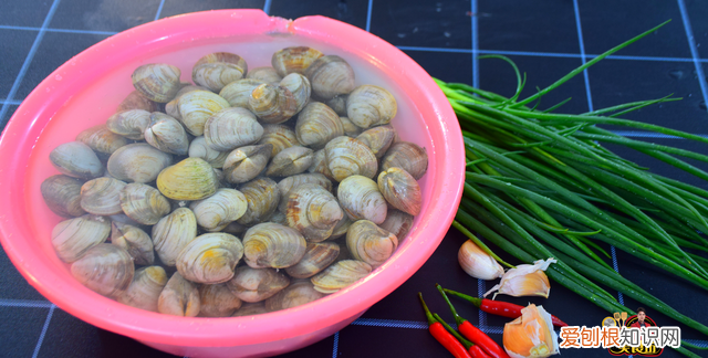 炒蛤蜊的时候为什么蛤蜊会开口,炒好的蛤蜊有泥沙怎么补救