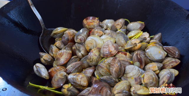炒蛤蜊的时候为什么蛤蜊会开口,炒好的蛤蜊有泥沙怎么补救