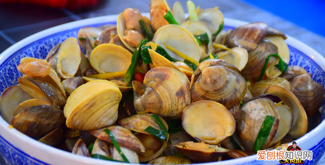 炒蛤蜊的时候为什么蛤蜊会开口,炒好的蛤蜊有泥沙怎么补救