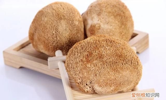 猴头有哪些功效,猴头颗粒功效与作用