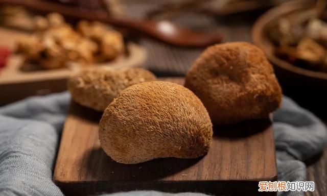 猴头有哪些功效,猴头颗粒功效与作用