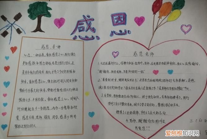 感恩活动的感悟,感恩孝亲活动作为父母的感想