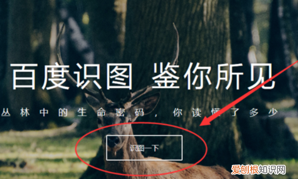 怎么找到原图,别人剪切的照片怎么找到原图