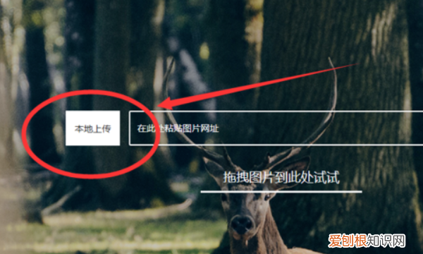 怎么找到原图,别人剪切的照片怎么找到原图