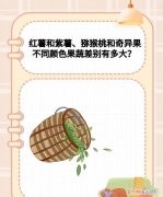 紫薯跟红薯有什么不一样，红薯和紫薯哪个升糖指数高