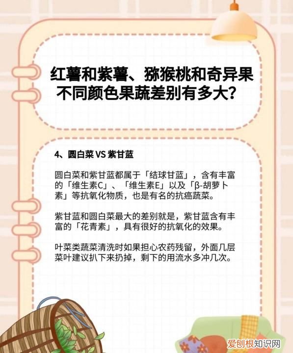 紫薯跟红薯有什么不一样，红薯和紫薯哪个升糖指数高