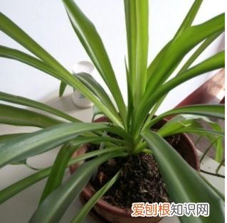 空笔芯怎么变废为宝,如何将坏掉的按压笔变废为宝