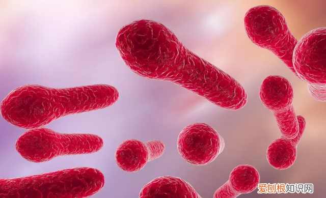 如何才能除去铁器上边的铁锈 什么铁锈会致死