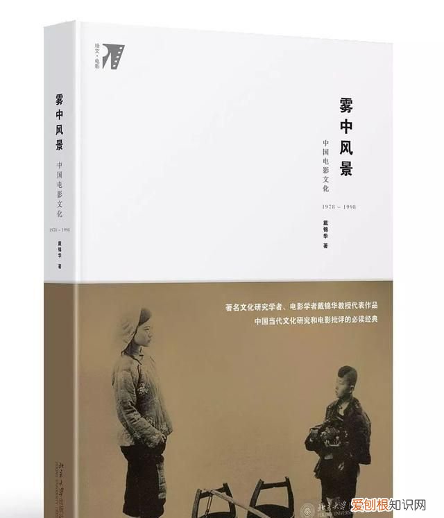 戴锦华你只是被定义的自由 戴锦华谈青年