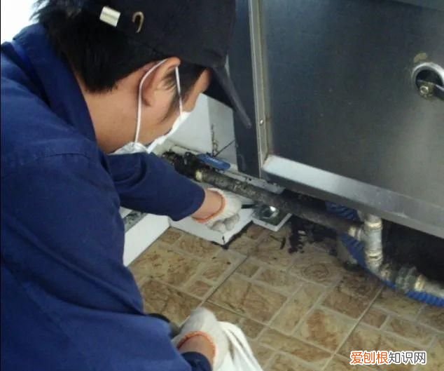 蟑螂为什么要称呼踩不死的小强