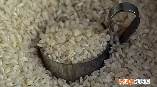 大米密封时间长了会长虫吗 大米为什么放久了会长虫
