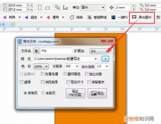 cdr应该怎么才能导出，cdr里好多文件怎么单独导出一个
