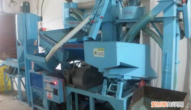 大米密封时间长了会长虫吗 大米为什么放久了会长虫