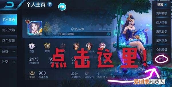 王者荣耀怎么样才能查充值记录,王者荣耀怎么查看别的地区战力