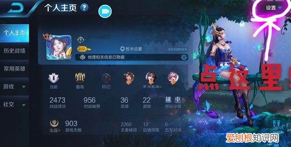 王者荣耀怎么样才能查充值记录,王者荣耀怎么查看别的地区战力