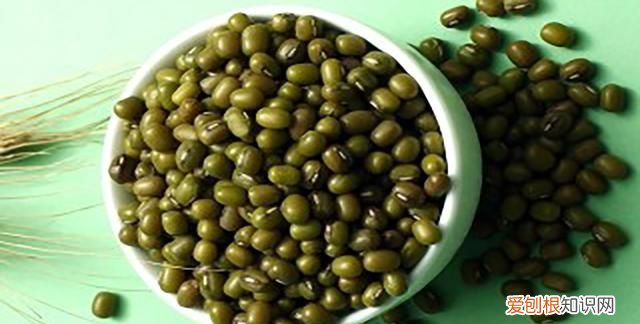 怎样快速的辨别绿豆的好坏