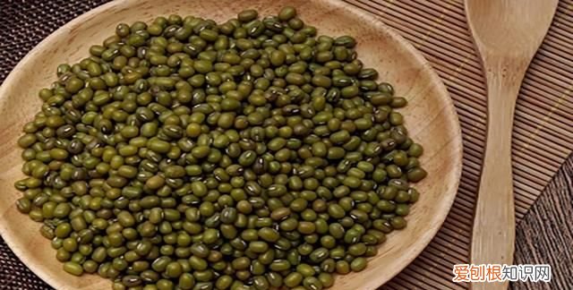 怎样快速的辨别绿豆的好坏